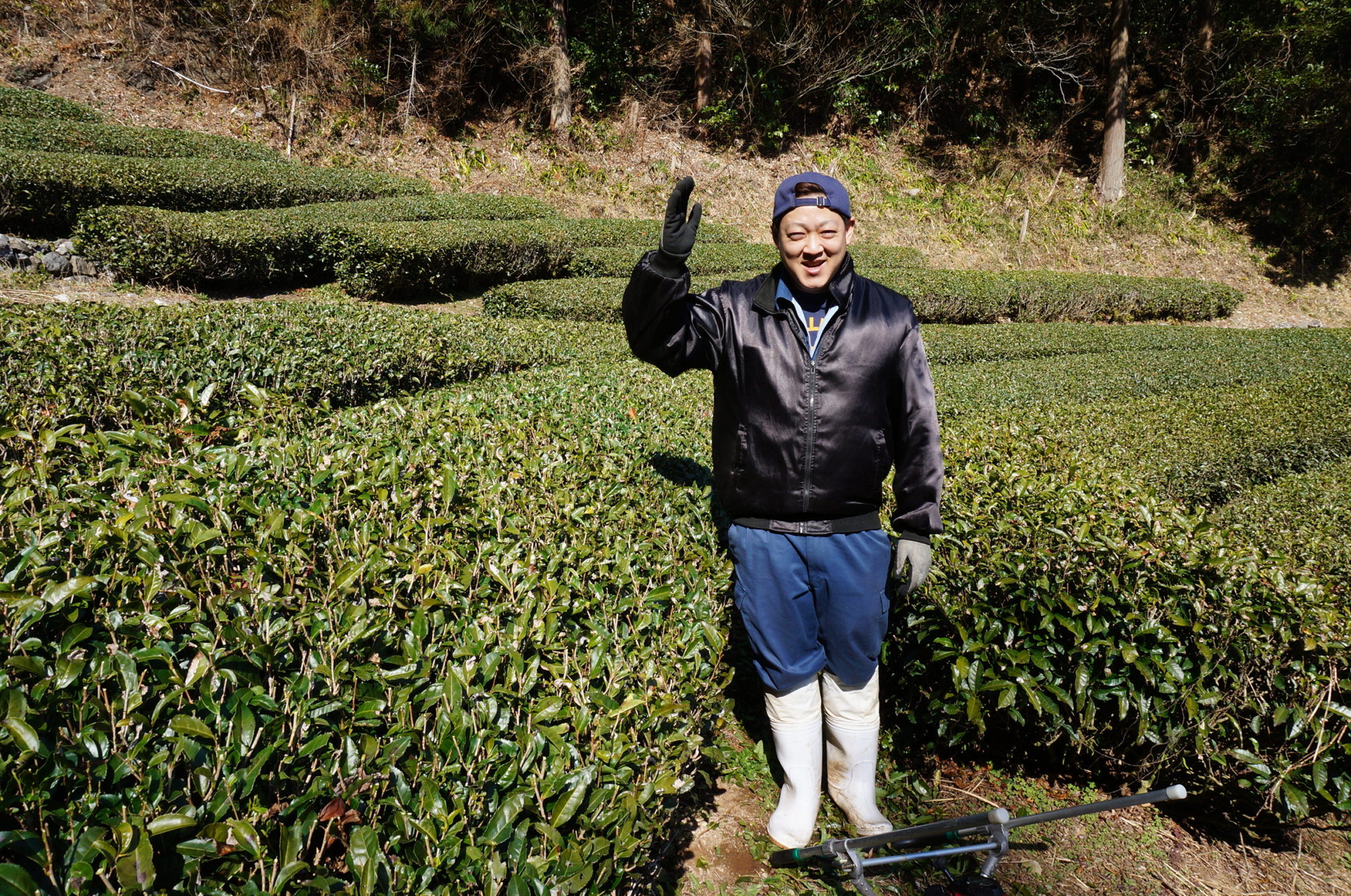 老舗企業の5代目から、茶畑農家へ転身！津野町の茶畑に感動して移住しました